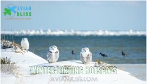 winter birding hotspots