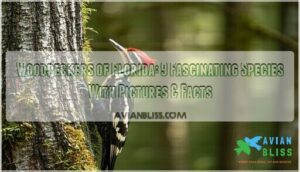 woodpeckers of florida