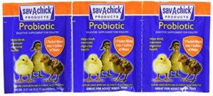 9 Count Sav A Chick Probiotic Supplements B06XGM8PFR
