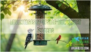 advantages of upside-down suet feeders