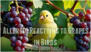 allergic reactions to grapes in birds
