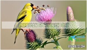 american goldfinch diet