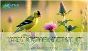 american goldfinch habitat and diet