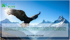 andean condor weight and wingspan