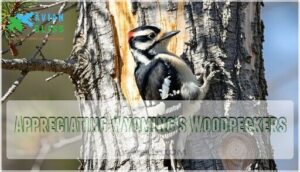 appreciating wyoming's woodpeckers