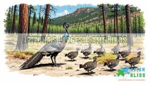 arizona's largest game birds