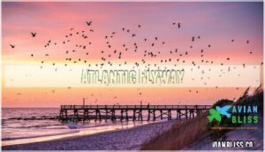 atlantic flyway