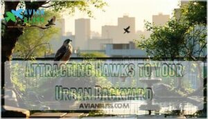 attracting hawks to your urban backyard