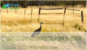 australian grassland birding spots