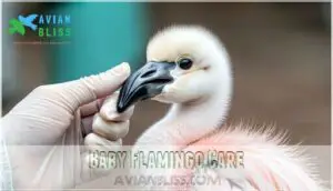 baby flamingo care