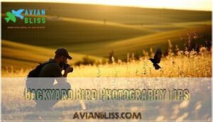 backyard bird photography tips