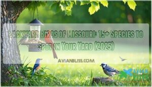 backyard birds of missouri