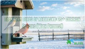 backyard birds of nebraska