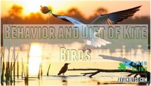 behavior and diet of kite birds