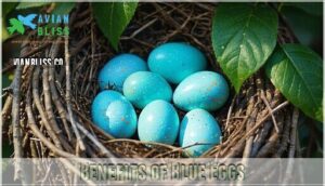 benefits of blue eggs