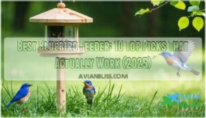 best bluebird feeder