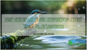 best time of day to see kingfishers