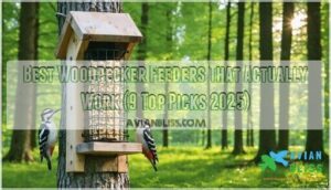 best woodpecker feeders
