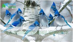 bird behavior and social structures