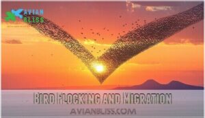 bird flocking and migration