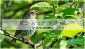bird hearing abilities