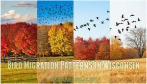 bird migration patterns in wisconsin