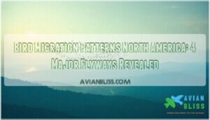 bird migration patterns north america
