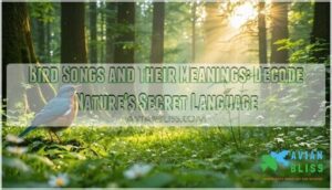 bird songs and their meanings