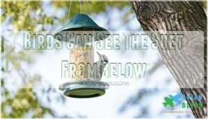 birds can see the suet from below