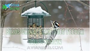 birds choice cake suet feeder taupe brown