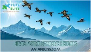 birds flying extreme heights