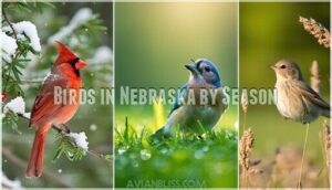 birds in nebraska by season