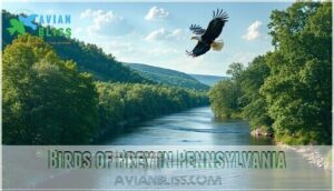 birds of prey in pennsylvania