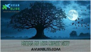 birds of the night sky