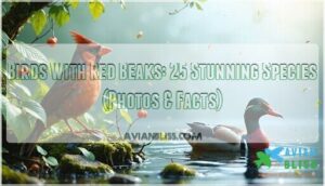 birds with red beaks