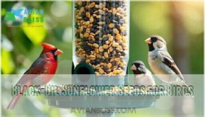 black-oil sunflower seeds for birds