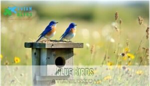 blue birds
