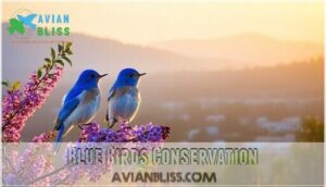 blue birds conservation