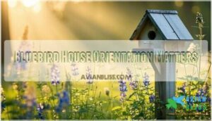 bluebird house orientation matters