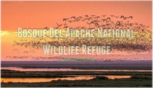 bosque del apache national wildlife refuge