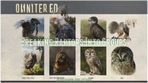 breaking raptors into groups breaking raptors into groups