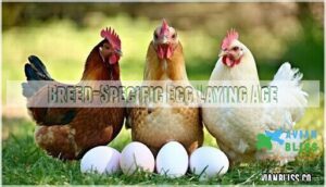 breed-specific egg laying age