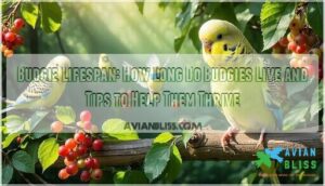 budgie lifespan