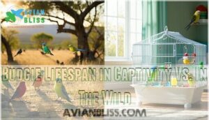 budgie lifespan in captivity vs. in the wild