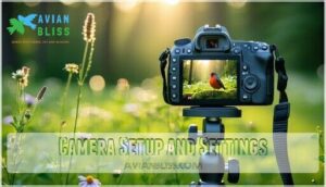 camera setup and settings camera setup and settings