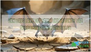 can bats take off from the ground