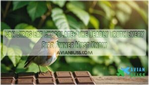 can birds eat chocolate