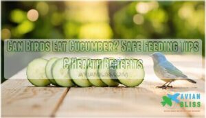 can birds eat cucumber