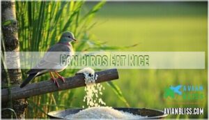 can birds eat rice