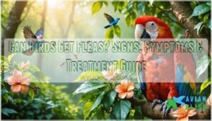 can birds get fleas